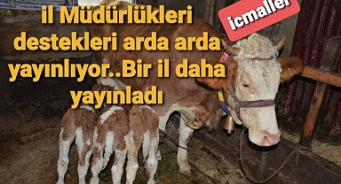 Buzağı destek icmalleri yayınlanıyor