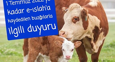 Buzağı destekleriyle ilgili açıklama