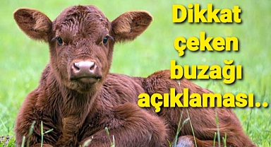 Buzağı