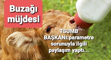 Buzağıdaki parametre sorunu