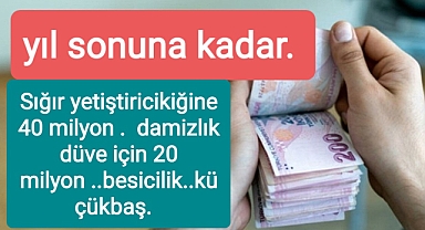 Çiftçilerin yararlanabileceği kredlerdeki limitler