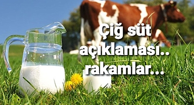 Çiğ süt rakamlar paylaşıldı