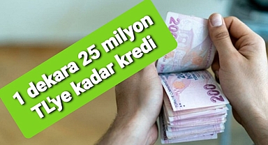 Cumhurbaşkanlığı yatırım ofisince hazırlandı