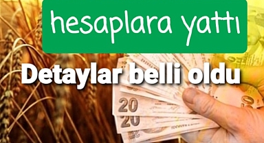 desteklerin detayları