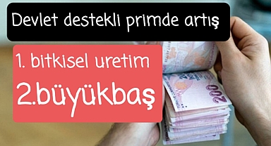 Devlet prim tutarları arttı..
