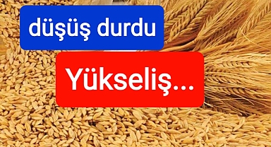Düşüş durdu yükselişte...