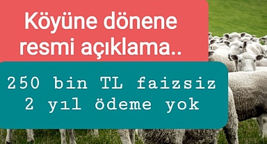 Faizsiz 250 bin TL