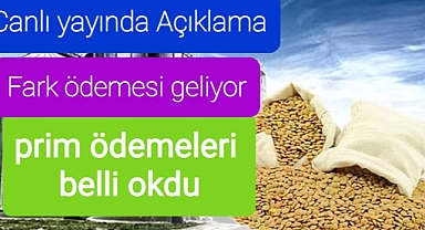 Fark ödemesi ve prim geliyor