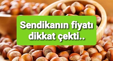 Fındık fiyatı için bir öneri de sendikadan geldi