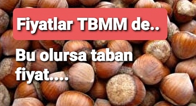Fındık fiyatı TBMM'de