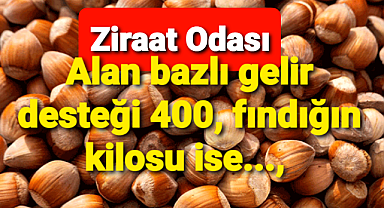 Fındık fiyatını maliyetle açıkladı..