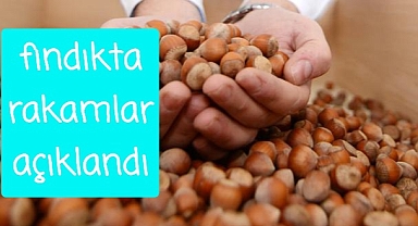 fındıkta rakamlar açıklandı..