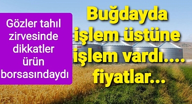 Gözler