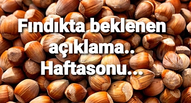 Haftasonu açıklayacağım