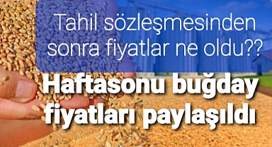 Haftasonu buğday fiyatları