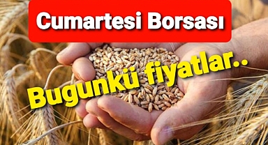 Haftasonu buğday fiyatları