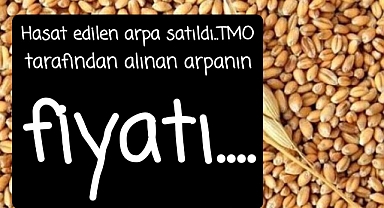 Hasat edilen arpa satıldı..