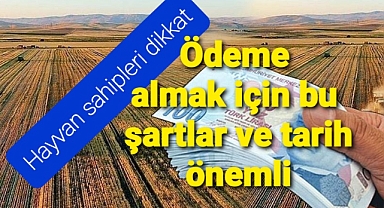 Hayvan sahipleri bu ödemeler için takviminizi ayarlayabilirsiniz..