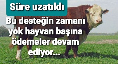 Hayvan sahiplerine verilen destek suresi uzatıldı..