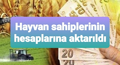 Hayvan sahiplerinin hesaplarına aktarıldı
