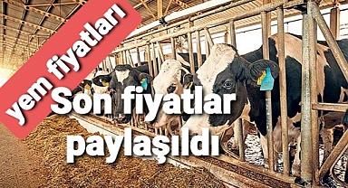 Hayvan yem fiyatları