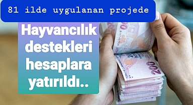 Hayvancılık destekleri hesaplara aktarıldı..