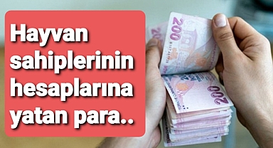 hayvancılık ödemelerini açıkladı