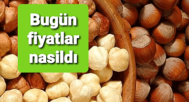 İl il fiyatlar