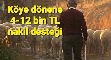Köyüne dönmek isteyene nakil yardımı