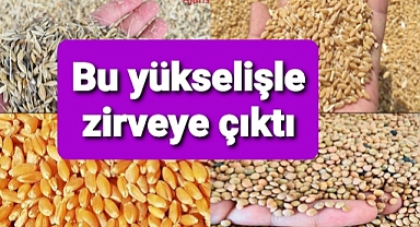Mısır bir haftanın zirvesinde..