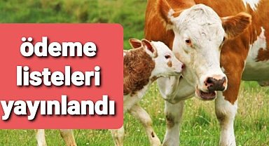 Ödeme listeleri açıklandı