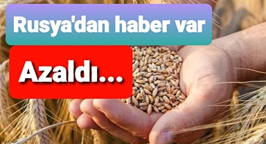 Rusya'da tahıl üretimi aşağılara düştü
