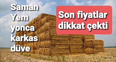 Saman fiyatları..kimse beklemiyordu