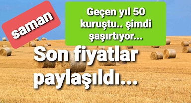 Saman fiyatları ve yem fiyatları