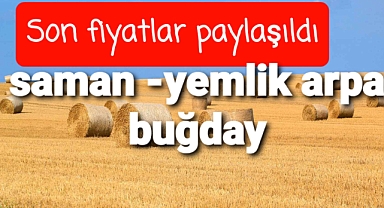 Saman yemlik arpa buğday düve karkas fiyatları