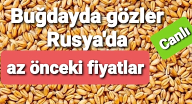 SON FİYATLAR PAYLAŞILDI.. BUĞDAY ARPA MERCİMEK MISIR