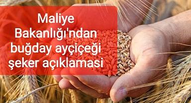 Stratejik ürünlerle ilgili karar