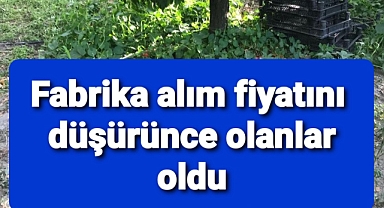 Taban fiyatı aşağı çekince olanlar oldu.