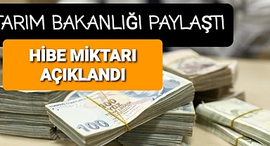 Tarım Bakanlığı hibe miktarını açıkladı