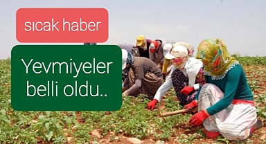 Tarım işçilerinin yevmiyeleri belli oldu