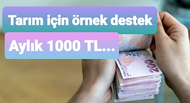 Tarımda bu destek örnek olacak