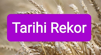 Tarımsal girdi rekor kırdı