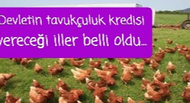 Tavuk kredisi verilecek iller belli oldu...