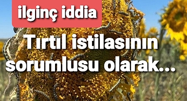 Tirtıl istilası konusunda ilginç iddialar...