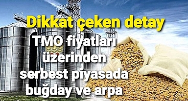 TMO ve Serbest Piyasa