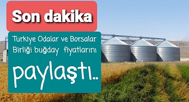 TOBB buğday fiyatlarını paylaştı...
