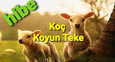 Üreticilere hibe desteği