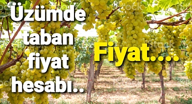 Üzüm üreticilerinin taban fiyat hesabı
