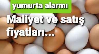 yumurta alarmı-maliyet ve satış fiyatları