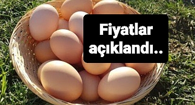 Yumurta fiyatları açıklandı